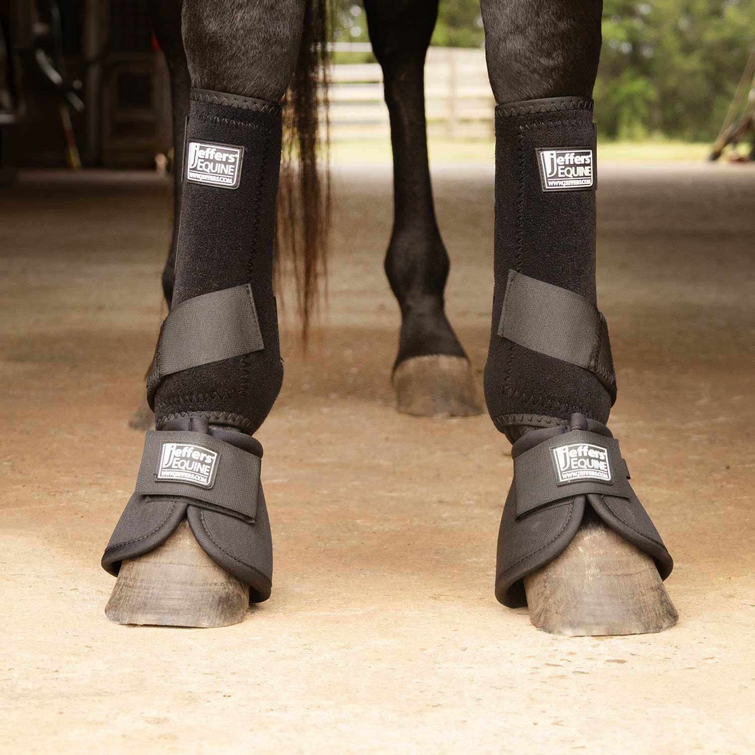 Jeffers Protective Horse Boots, Solid Colors